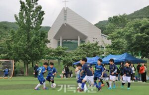 25년 예선대회